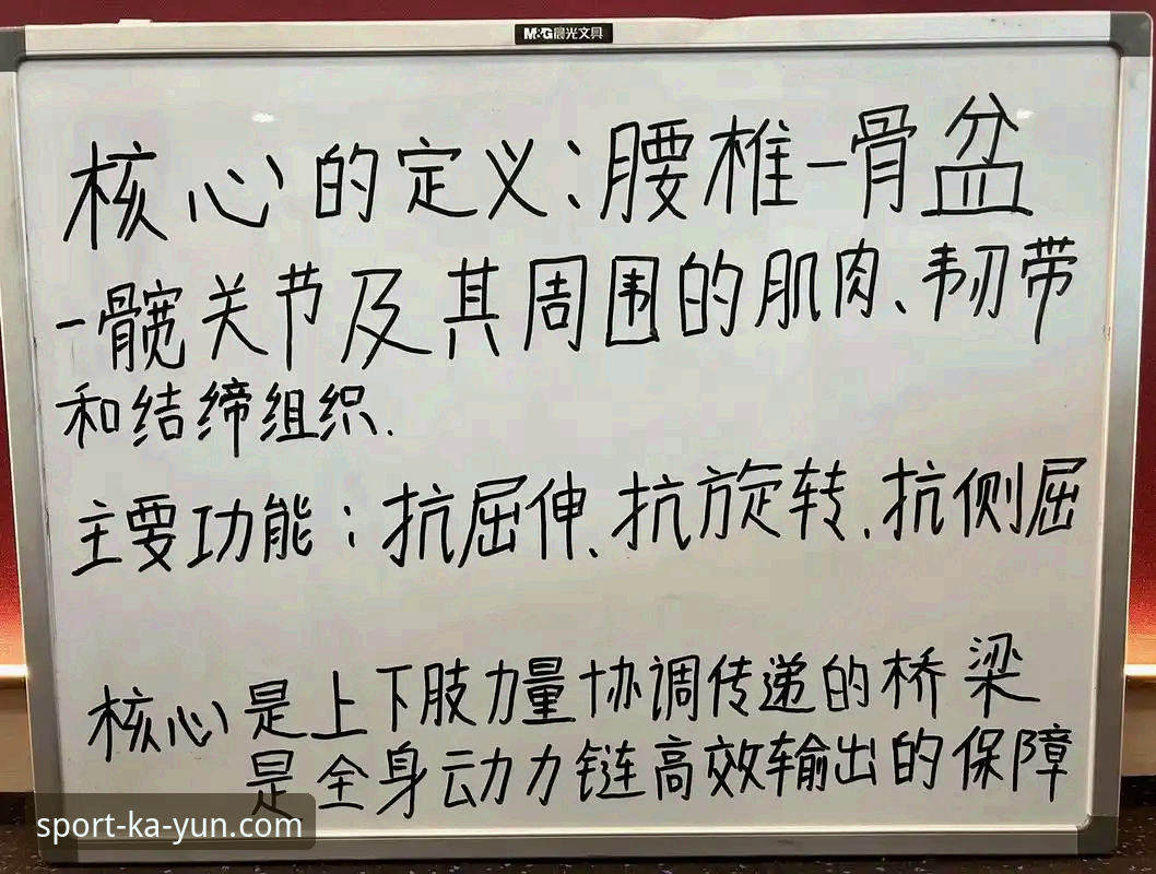 资深用户揭秘：kaiyun体育官方版使用心得与创新体验分享